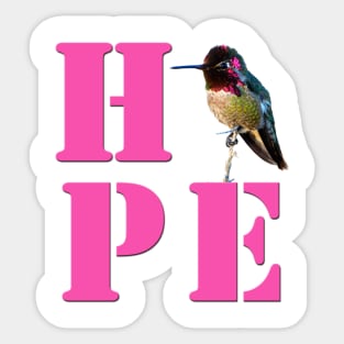 HOPE - Anna's Hummingbird Photo Sticker